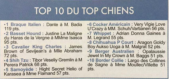 top dog